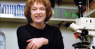 Biography Of Famous Biologists Linda Buck - The Engineers Blog